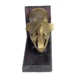 Serpent Head Bracket - Image 5